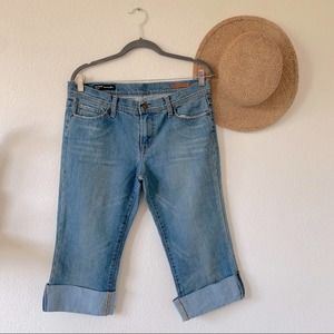 Citizens of Humanity Ingrid 002 Low Waist Cropped size 30